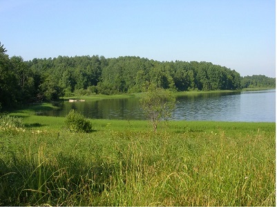 Озеро Ильинское.  Белозерский ландшафтный район. Фото Кузнецова А.Л.