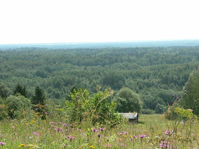 Ципина гора